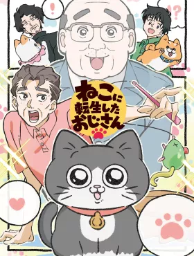 Старик, перевоплотившийся в кота